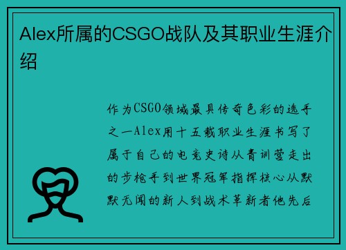 Alex所属的CSGO战队及其职业生涯介绍