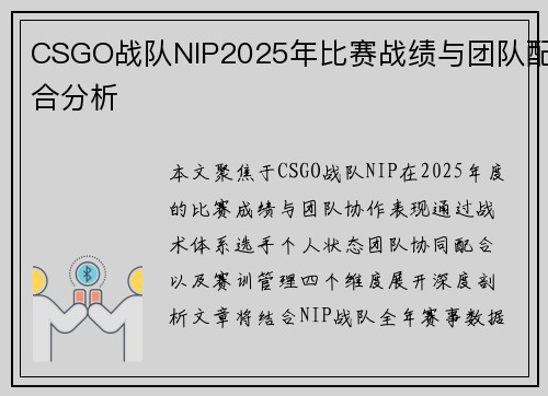 CSGO战队NIP2025年比赛战绩与团队配合分析